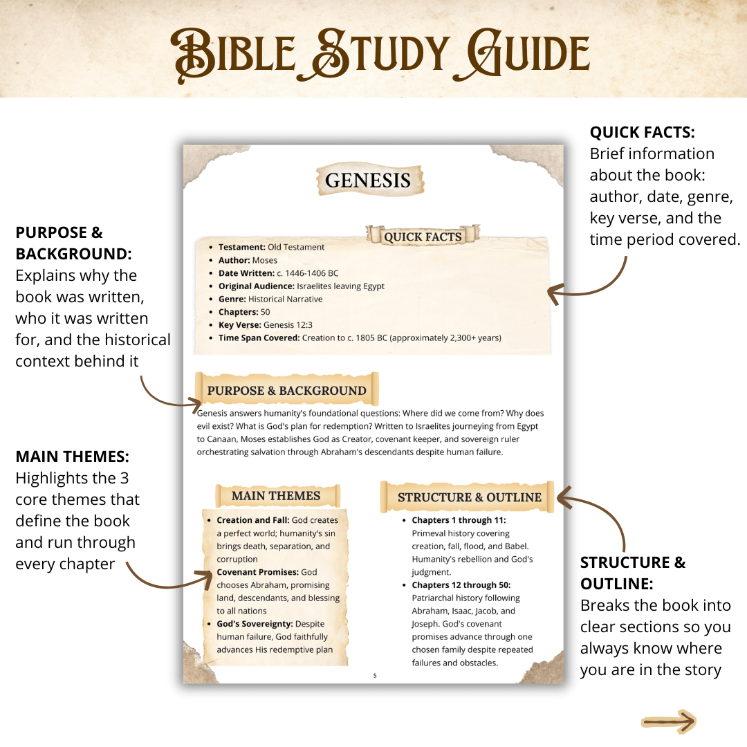 ESSENTIALS Bible Study Bundle