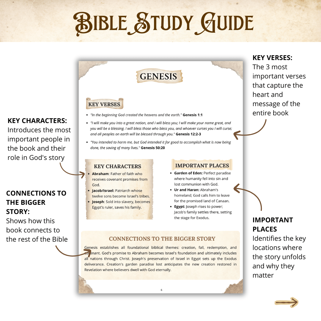 ESSENTIALS Bible Study Bundle