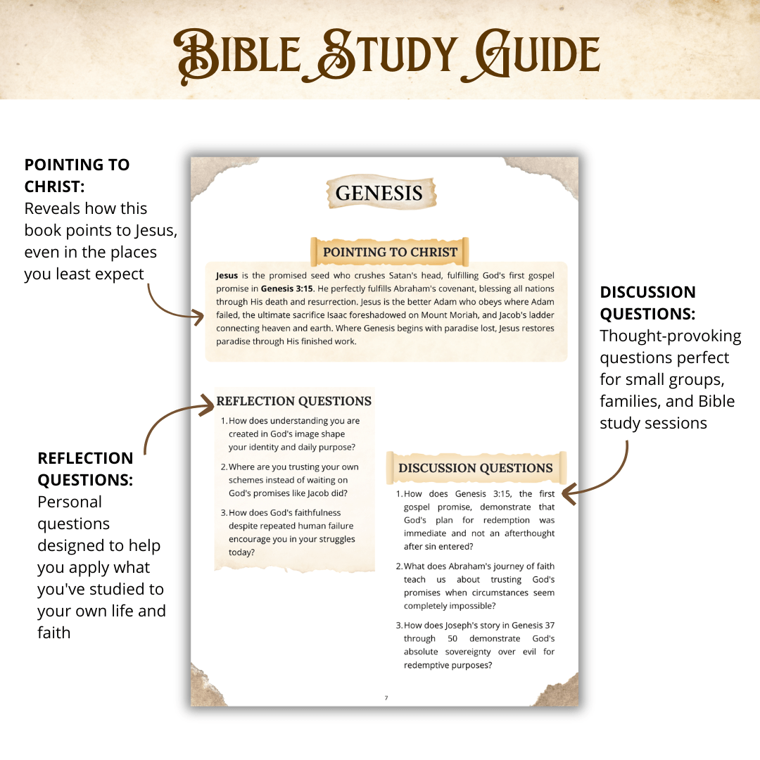 ESSENTIALS Bible Study Bundle