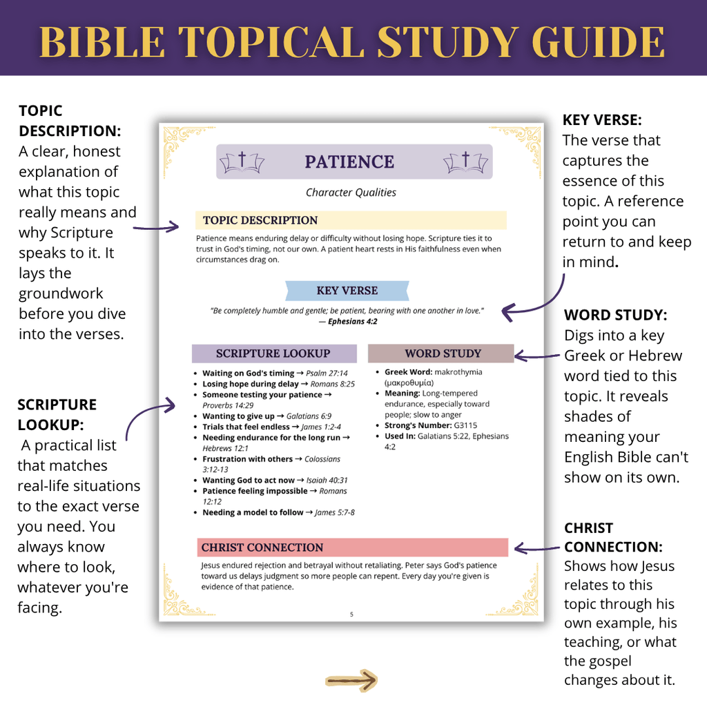 COMPLETE Bible Study Bundle