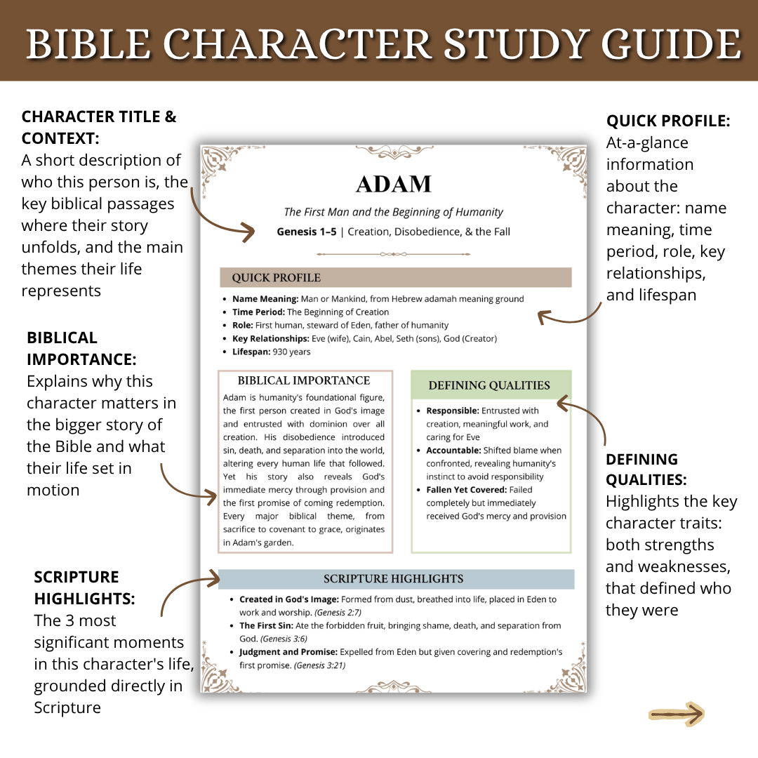 ESSENTIALS Bible Study Bundle