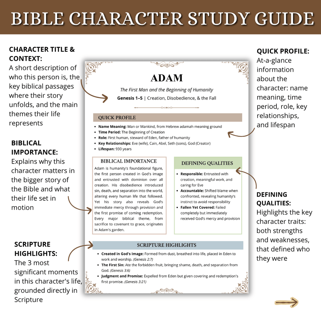 COMPLETE Bible Study Bundle
