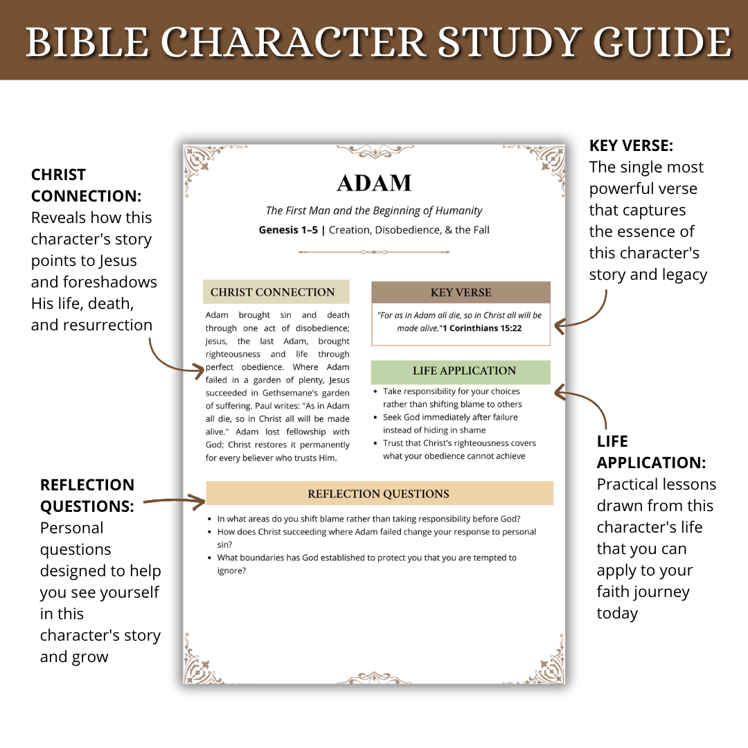 ESSENTIALS Bible Study Bundle